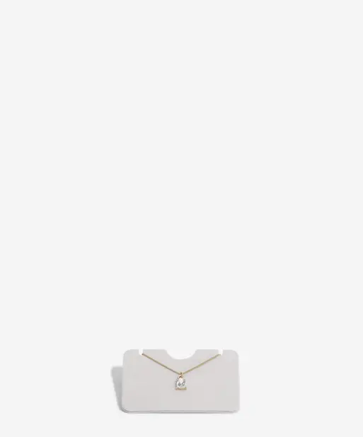 Pendant Necklace Accessory